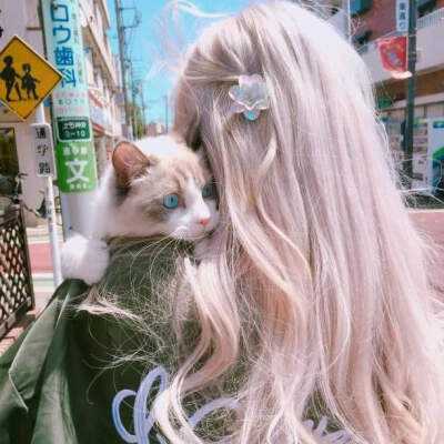 棋牌游戏app下载