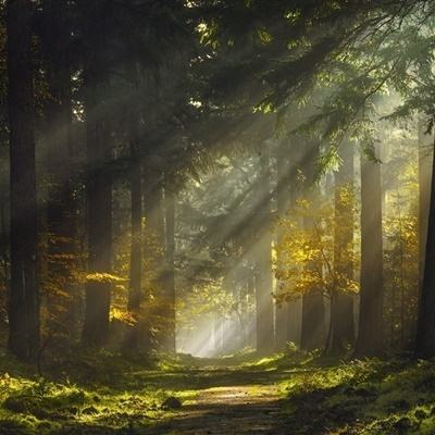 金沙集团9500下载手机版