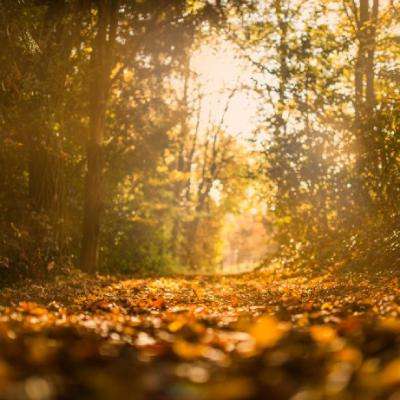 电子mg官方网站