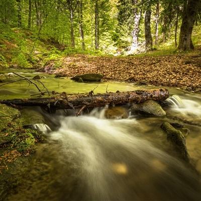 网络举报客户端