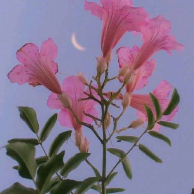 博鱼电竞官网截图